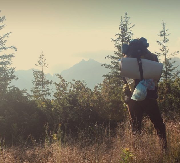 Top 6 beste slaapzakken van 2023 | Tips + ervaringen