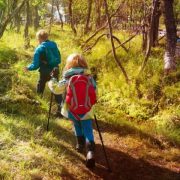 Scouting luchtbed of matje kopen? De beste scouts matjes vergeleken