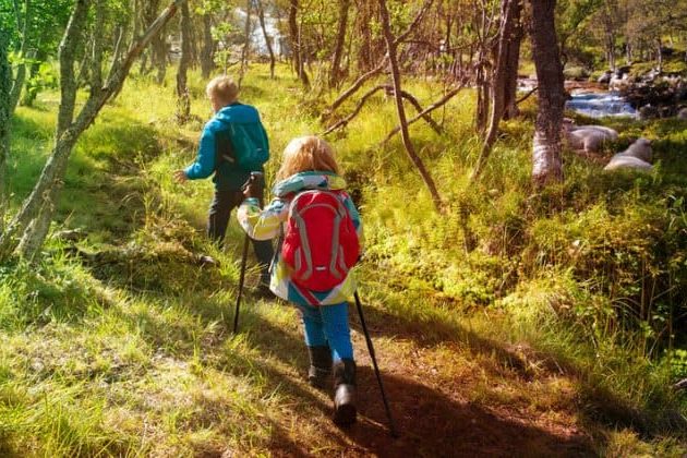 Scouting luchtbed of matje kopen? De beste scouts matjes vergeleken