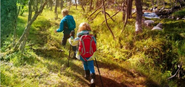 Scouting luchtbed of matje kopen? De beste scouts matjes vergeleken